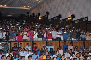 Krishna Gadi Veera Prema Gaadha success tour Nizam